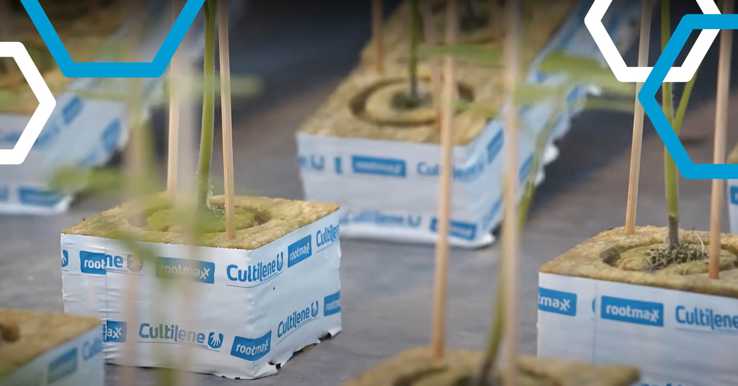 Multimodaal_testimonial_Saint-Cobain-cultilene_Linkedin